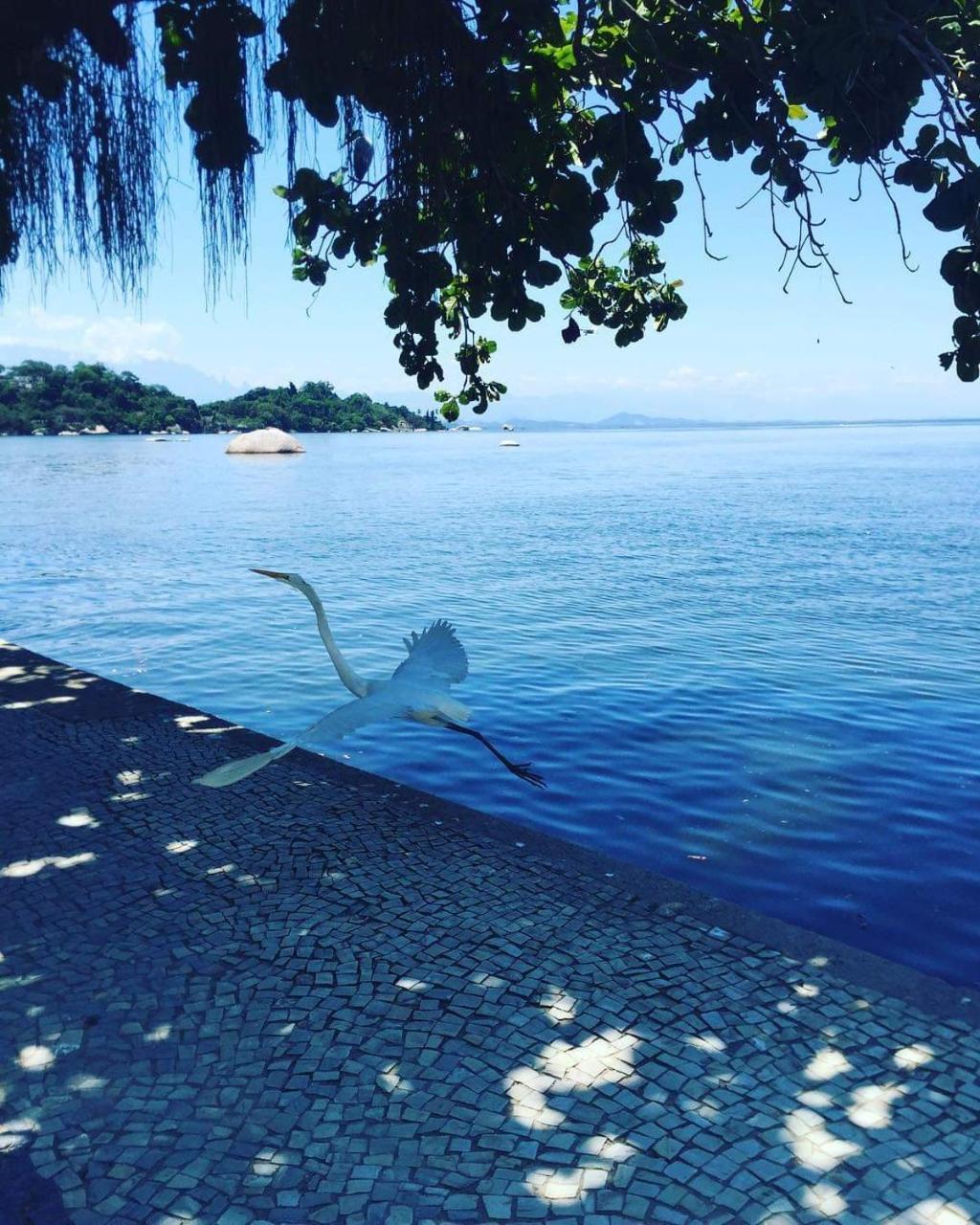 Casa Da Coruja Bed & Breakfast Rio de Janeiro Dış mekan fotoğraf