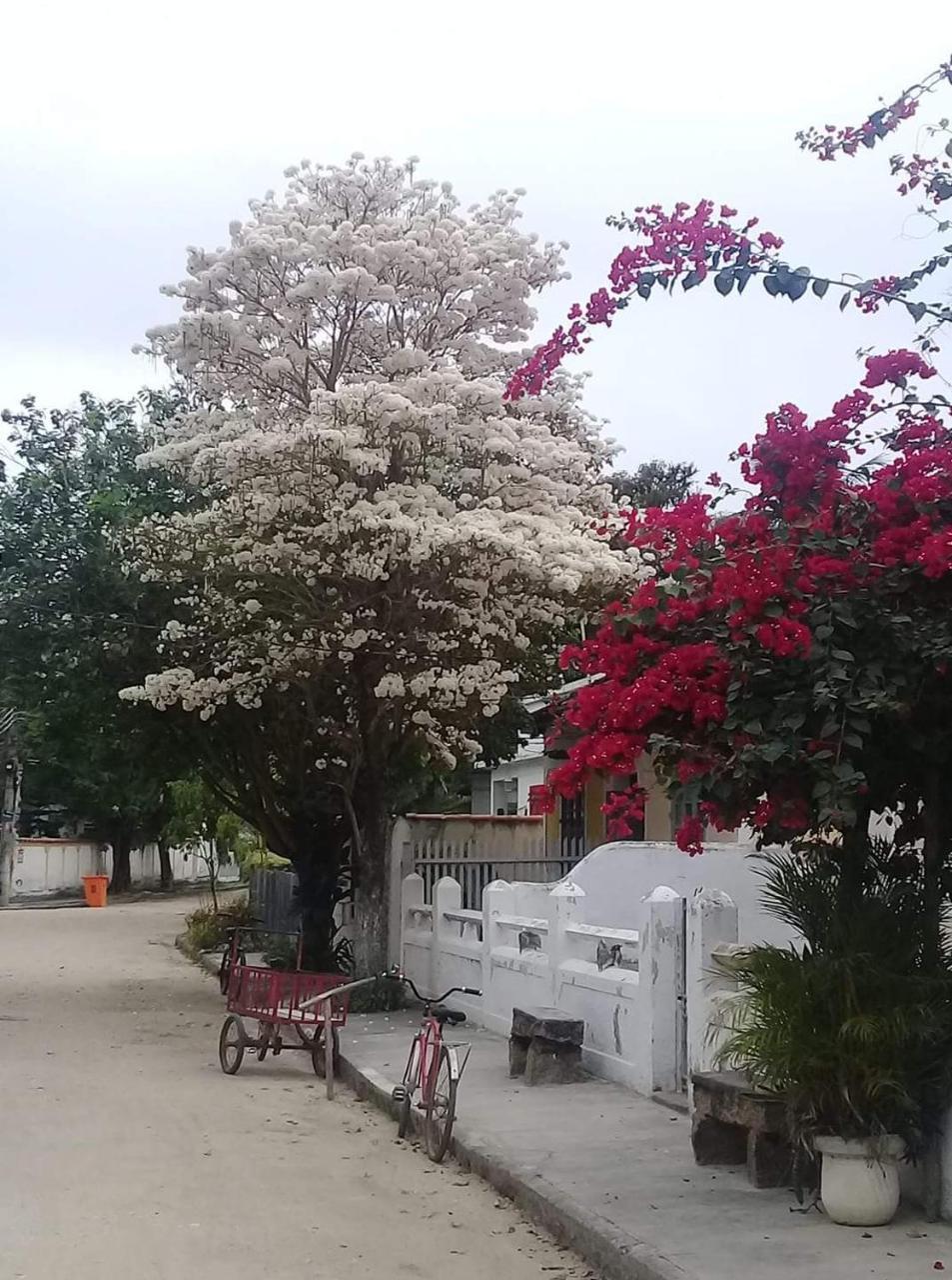 Casa Da Coruja Bed & Breakfast Rio de Janeiro Dış mekan fotoğraf