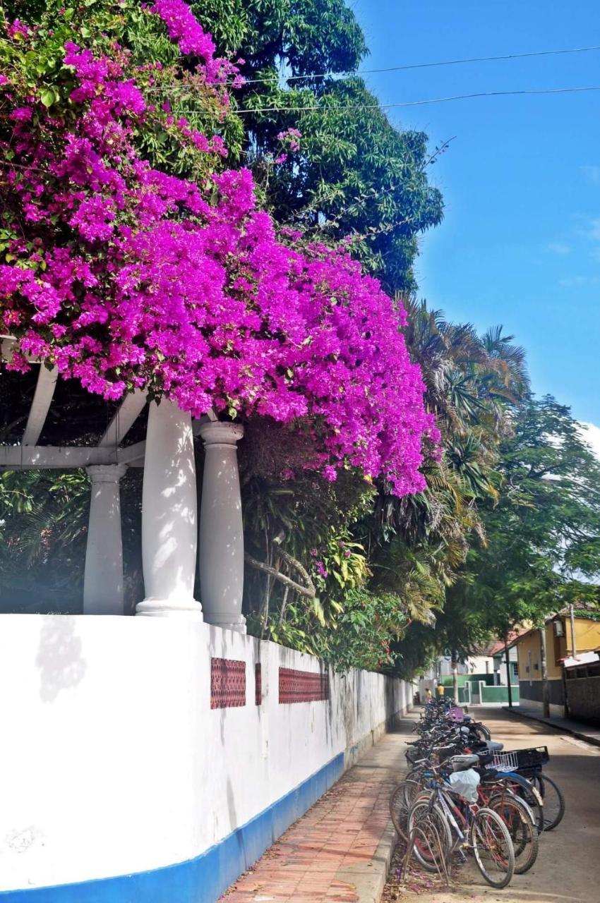 Casa Da Coruja Bed & Breakfast Rio de Janeiro Dış mekan fotoğraf